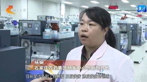 新數(shù)據(jù)新觀察 河北 前三季度戰(zhàn)略性新興產(chǎn)業(yè)實現(xiàn)較快增長