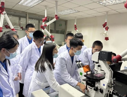 粵東學(xué)子探秘新藥研發(fā),生命科學(xué)夏令營驚喜連連