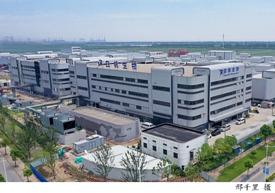 國內首個無交叉抗體工廠在臨港新片區開業投產,這一高端單抗藥物的規模化生產基地同時符合三地質量標準